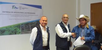 Más de 1 MDP destina Gobierno de Tamaulipas para fortalecer al sector forestal