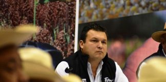 “Melaza y minerales para revitalizar al ganado tamaulipeco”