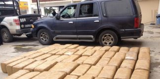 Aseguran hierba verde y seca con características de la marihuana