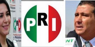 PROSPECTOS AL SENADO, “SON PICHONES”….!