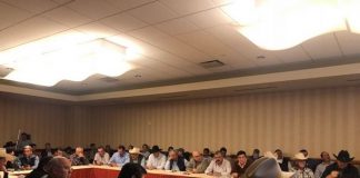 USDA-APHIS ratifica nuevamente a Tamaulipas para seguir exportando becerros a EUA