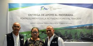 Para fortalecer la actividad forestal, Gobierno del estado dispersa más de 2.1 MDP