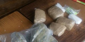 Mujer intentó ingresar 3.2 kilogramos hierba al CEDES