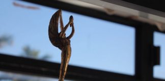 Se muda el Salón al Mérito Deportivo