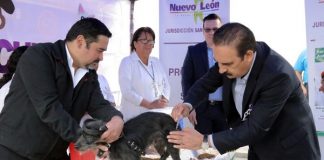 Invitan a Ciudadanía a vacunar a sus perros y gatos