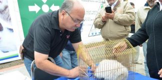 Aplicará Tamaulipas más de 268 mil vacunas contra la rabia canina y felina