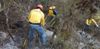 Combaten tres incendios forestales en Tamaulipas
