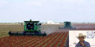 FORTALECERÉ FINANCIAMIENTO AGRÍCOLA: ISMAEL