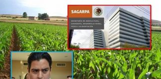 PUNGARÉ EN EL SENADO POR FISCALIZAR A SAGARPA, PARA QUE APOYOS AL CAMPO LLEGUEN A TIEMPO: ISMAEL G. CABEZA DE VACA