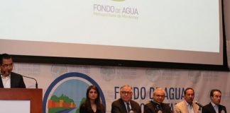 Plantarán Estado y Fondo de Agua un millón de árboles