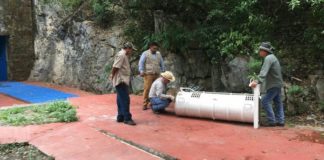 Avistan osos en paraje “Cola de Caballo”