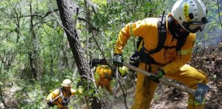 Combate Protección Civil NL incendios forestales de alto riesgo para brigadistas