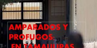 AMPARADOS Y PROFUGOS, EN TAMAULIPAS