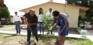 Reforestación en escuelas mitiga cambio climático