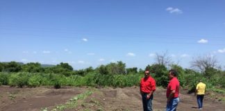 A punto de iniciar la construcción de la Sala de Extracción de Miel en Llera, Tam.