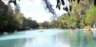 Evalúa Desarrollo Sustentable daños al Rio la Silla