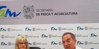 Tamaulipas desarrolla industria de los moluscos