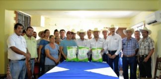 Gobierno del Estado propone el ensilaje y nutrición con forraje de Súper Sorgo