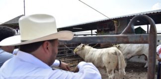 Gobierno del Estado sigue fortaleciendo al Sector Ganadero de Tamaulipas