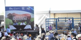 Ganaderos tamaulipecos apoyan programas sociales de DIF Tamaulipas
