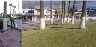 Pide PCyB precaución durante labor de cuadrillas municipales