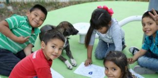 Lleva Gobierno de Tamaulipas cultura a Parques de Bienestar.