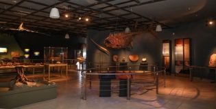 Donará ITCA al museo de NLD una réplica de Ave Prehistórica