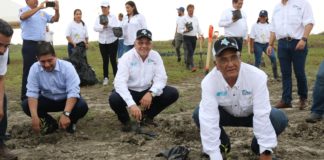 • Trabajos se realizan en la Laguna de Morales en La Pesca en el municipio Soto La Marina SDU-017-2019 Junio 06 de 2019 Soto La Marina, poblado La Pesca (Laguna de Morales).- En seguimiento al Día Mundial del Medio Ambiente, el Gobierno del Estado mediante la Secretaría de Desarrollo Urbano y Medio Ambiente (SEDUMA) en coordinación con UTMART, intensificó la reforestación con especie de mangle negro para contribuir incrementar y mejorar la calidad ambiental de nuestro entorno, en coordinación con la Universidad Tecnológica del Mar de Tamaulipas. Esto tiene como propósito incrementar y mejorar la calidad ambiental de nuestro entorno para atender las necesidades de las actuales y futuras generaciones. Se cuenta con más de 3 mil 700 plántulas de mangle negro que se comenzarán a reforestar en las áreas donde se requiera, lo que le permitirá a Tamaulipas contribuirá a combatir el cambio climático. Participaron en esta actividad en representación del Gobierno del Estado el Secretario de SEDUMA Gilberto Estrella Hernández; el comandante del sector naval de La Pesca Rodolfo Manuel Jiménez; la Secretaria de Salud, Gloria de Jesús Molina Gamboa; el presidente municipal Abel Enrique Gámez Cantú; Marcelo Fernández Franco de la Comisión de Caza y Pesca; Alejandro Garza Peña de la Comisión de Parques y biodiversidad: el Subsecretario de Medio Ambiente Sergio González Miranda y el diputado Humberto Rangel Vallejo, Presidente de la Comisión de Desarrollo Sustentable del H. Congreso Local y ambientalistas que dirige Magali Data Morales. La importancia de los manglares reviste en que están catalogados a nivel internacional como una especie esencial para combatir el cambio climático, informó la Dra. Yessil Varinka Sáenz Aguilar encargada de la Coordinación de la UTMART con la Secretaría de Desarrollo Urbano y Medio Ambiente del Gobierno del Estado, poco antes de que las autoridades y ambientalistas iniciaran la de reforestación con mangle negro . Con ello se da seguimiento a la reforestación sobre el área de protección de la Laguna Madre y Delta del Río Bravo, con la finalidad de recuperar el sistema deteriorado y fomentar la conservación de los humedales en el litoral costero tamaulipeco.