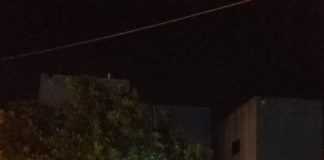 Recomienda Gobierno Municipal no destruir enjambres de abejas