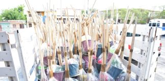 ATIENDE DIF REYNOSA ALBERGUES Y COLONIAS