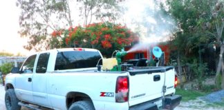 INICIARON YA,  EN RIO BRAVO LA ACCIONES DE FUMIGACIÓN, PARA PREVENIR Y ERRADICAR EL MOSQUITO TRANSMISOR.