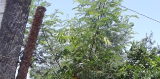 Agiliza Ayuntamiento actividades en colonias afectadas por lluvias.