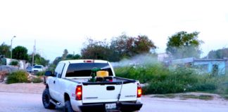 Gobierno Municipal de Rïo Bravo, Emprenderá  campaña de descacharrización, y continua con las acciones de fumigaciön