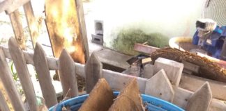 Recolección adecuada de la basura requiere de la participación de los usuarios.