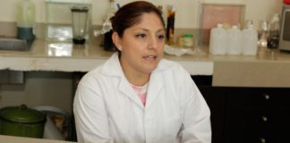 Usarían insectos para elaborar alimentos con propiedades antidiabéticas.