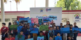 CONCLUYE CON ÉXITO CAMPAMENTO DE VERANO CEDIF 2019.