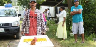 Con la entrega de gallinas ponedoras apoya DIF Tamaulipas el desarrollo comunitario de familia rurales.