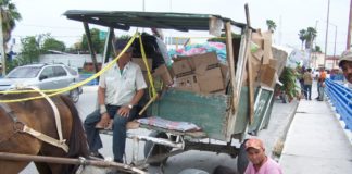 Supervisará Gobierno de Reynosa animales utilizados por carretoneros.