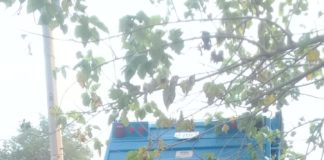 Recorren camiones recolectores el Sector Oriente este lunes 28