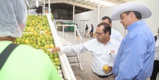 La citricultura es un importante motor de desarrollo para la región centro de Tamaulipas: Gobernador