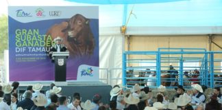 Se realiza subasta ganadera en beneficio de programas sociales de DIF Tamaulipas