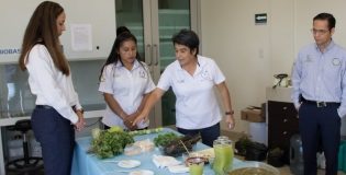 Promueven uso de la verdolaga como alternativa alimenticia