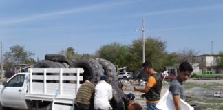 Dependencias municipales coordinadas en lucha contra mosquitos vectores