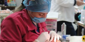 Ingresa Odontología de la UAT al padrón de excelencia Ceneval