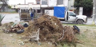 Realiza Municipio trabajo permanente de limpieza para evitar reproducción de mosquitos