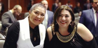 Cámara de diputados, ejemplo de austeridad republicana: Adriana Lozano