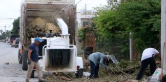 CON TRITURADORA, EL AYUNTAMIENTO DE RÍO BRAVO, MEJORA LA LIMPIEZA Y BUEN AMBIENTE EN LA CIUDAD