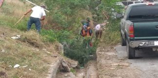 SERVICIOS PRIMARIOS REALIZA LIMPIA DE MALEZA EN BORDO DE CANAL