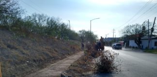 Limpieza y desmonte refuerzan lucha contra los mosquitos vectores