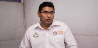 Estudian nuevas especies de mosquita blanca en Tamaulipas